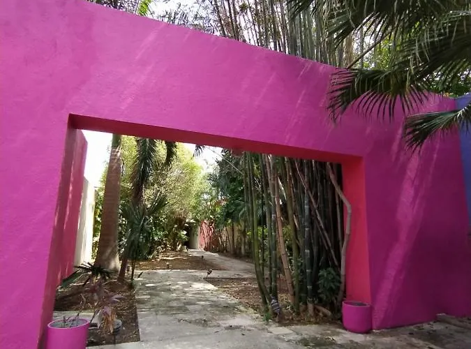 Casa Isabella Pensión Cozumel